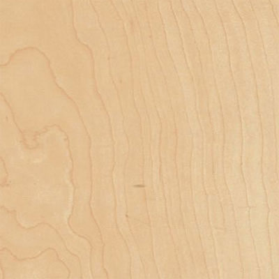 American Hard Maple Timber in the UK | Timbersource online